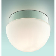 Накладной светильник Odeon Light 2443/1B