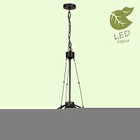 Подвесной светильник LOFT GRLSP-9994