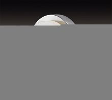 Накладной светильник Odeon Light 2746/1C