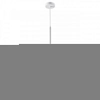 Подвесной светильник Odeon Light 3884/1GW
