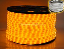 Дюралайт Rich LED RL-DL-2WHM-100-240-Y