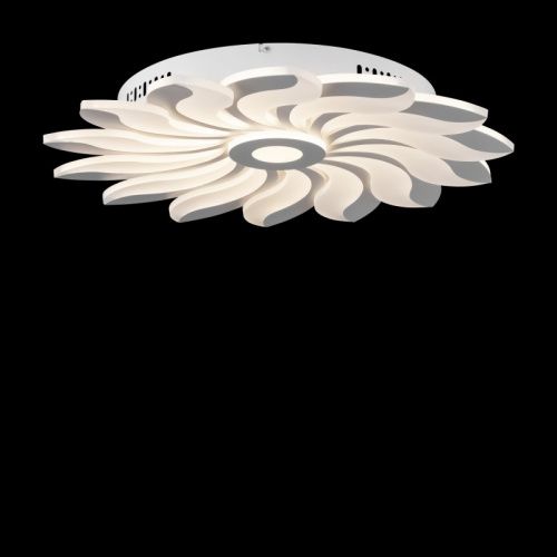 Накладная люстра Freya FR10023CL-L127W фото 7