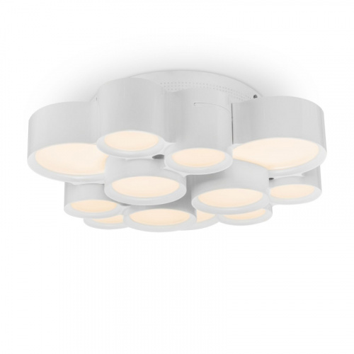 Накладной светильник Freya FR6043CL-L30W