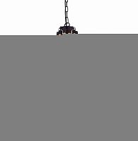 Подвесная люстра ARTE Lamp A8956LM-12BK