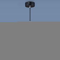 Подвесной светильник Elektrostandard 7011 MR16 BK/GD черный/золото