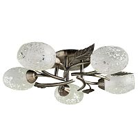 Накладная люстра ARTE Lamp A6157PL-5AB