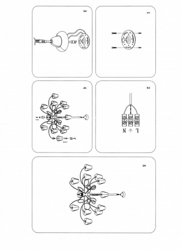 Подвесная люстра Lightstar 814334 фото 11