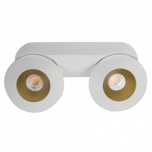 Накладной светильник LeDron KRIS SLIM 2 White/Gold