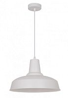 Подвесной светильник Odeon Light 3362/1