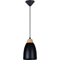 Подвесной светильник TOPLIGHT TL0724H-2B
