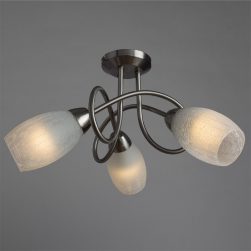 Накладная люстра ARTE Lamp A8616PL-3SS фото 3