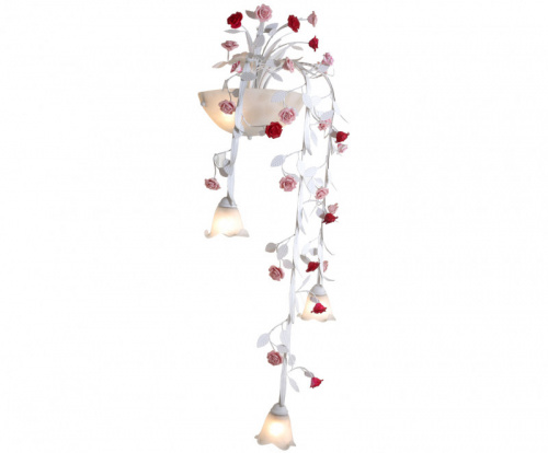 Бра Lucia Tucci FIORI DI ROSE 113.3.2