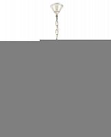 Подвесная люстра Arti Lampadari Camerino E 1.1.8 WG