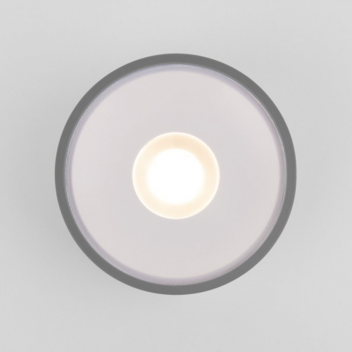 Уличный светильник Elektrostandard Light LED 2135 (35141/H) серый фото 3