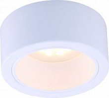 Накладной светильник ARTE Lamp A5553PL-1WH
