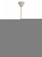 Подвесная люстра TOPLIGHT TL5630D-05WH