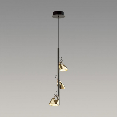 Подвесной светильник Odeon Light 5002/13L фото 4