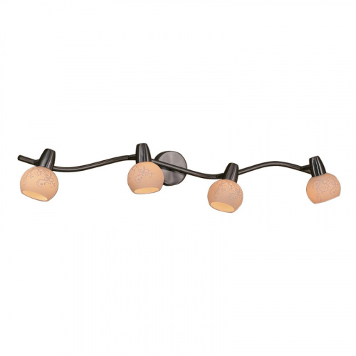 Спот Citilux CL520541