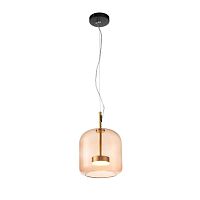 Подвесной светильник ST-Luce SL1053.273.01