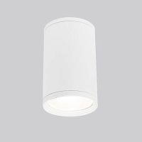 Уличный светильник Elektrostandard Light 2101 (35128/H) белый