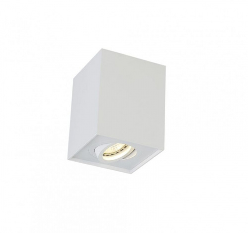 Накладной светильник Crystal Lux CLT 420C WH