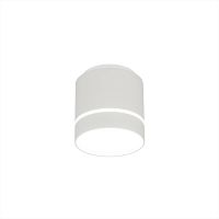 Накладной светильник Citilux CL745020N