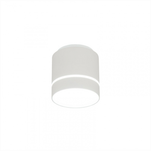 Накладной светильник Citilux CL745020N