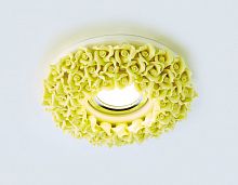 ambrella_light D5505 YL