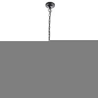 Подвесной светильник ARTE Lamp A1495SO-1BK