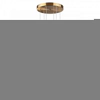 Подвесной светильник Odeon Light 4794/72L