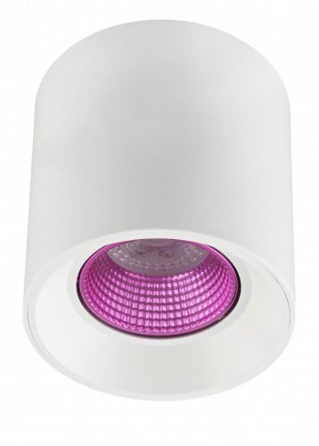 Накладной светильник Denkirs DK3090-WH+PI