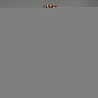 Подвесная люстра AMBIENTE by BRIZZI 2226/5 WP New Leaf