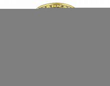 ambrella_light K2247 CL/G