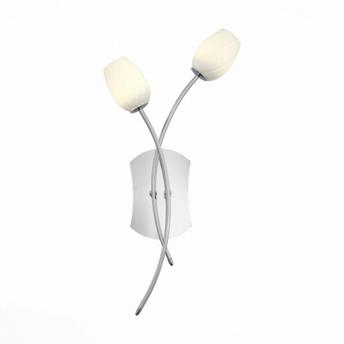 Бра ST-Luce SL478.101.02