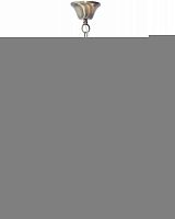 Подвесная люстра TOPLIGHT TL1138-5H