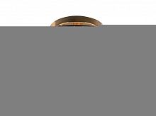 Люстра на штанге TOPLIGHT TL1480Y-03GC