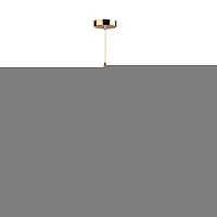 Подвесной светильник Odeon Light 4685/1