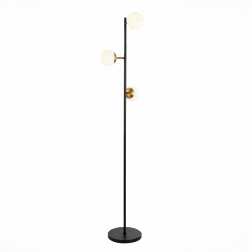 Торшер Evoluce SLE220405-03