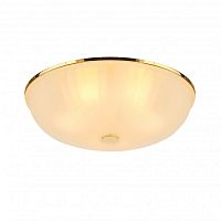 Накладной светильник F-Promo 2752-5C