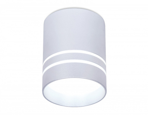 Накладной светильник Ambrella Light TN241