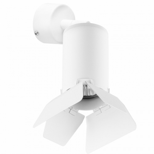 Спот Lightstar RB436436