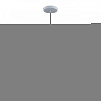 Подвесной светильник LOFT IT 2027-P1
