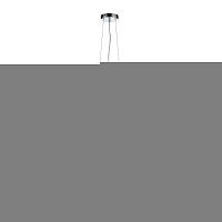 Подвесная люстра ST-Luce SL432.203.05