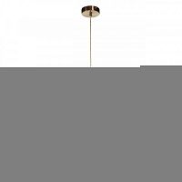 Подвесной светильник LOFT IT 10110/A