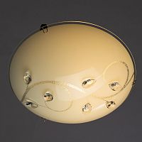 Накладной светильник ARTE Lamp A4040PL-1CC