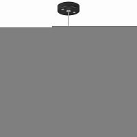 Подвесной светильник Lightstar RP431431