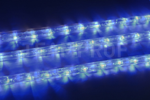 Дюралайт TEAMPROF TPF-DL-2WH-100-24-B
