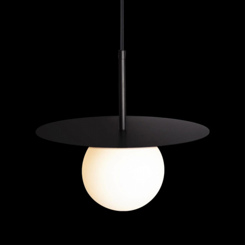 Подвесной светильник LOFT IT 10120/250P Black фото 7