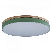 Детский светильник LOFT IT 10001/36 Green