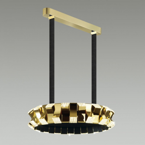 Подвесная люстра Odeon Light 4993/45L фото 4